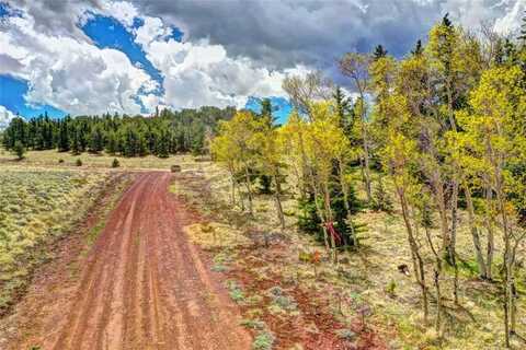 2680 WICAKA TRAIL, Hartsel, CO 80449