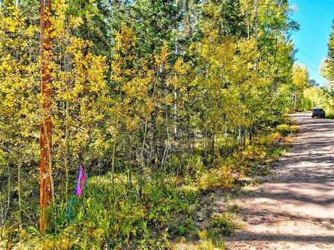 616 EAGLE ROCK ROAD, Florissant, CO 80816