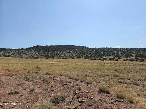 Tbd River Springs Ranch, Saint Johns, AZ 85936