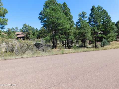 2789 Skyhawk Drive, Overgaard, AZ 85933