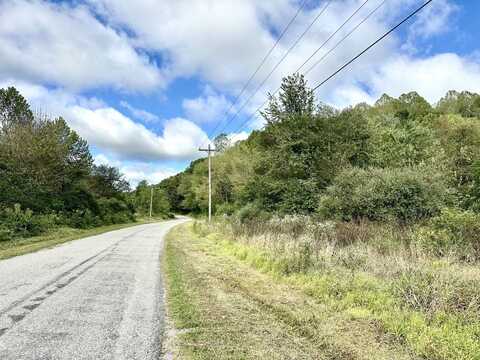 N Dixon Run Road, Thurman, OH 45685