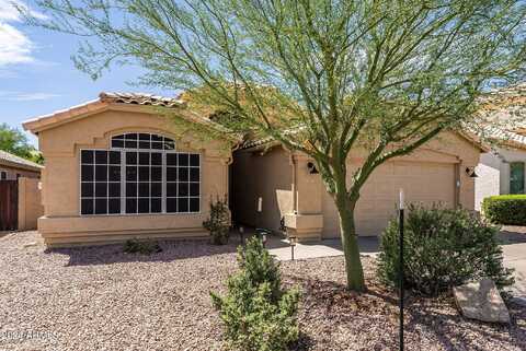 3305 E MOUNTAIN VISTA Drive, Phoenix, AZ 85048