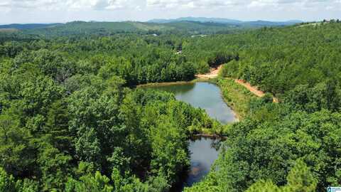 11.54 Acres TUCK-A-WAY DRIVE, PIEDMONT, AL 36272