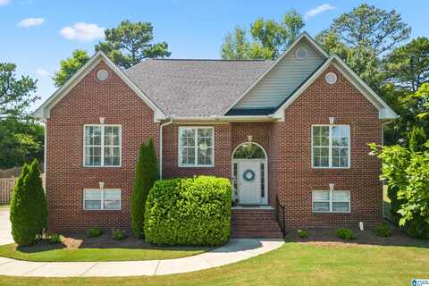 1100 SUMMIT RIDGE WAY, ODENVILLE, AL 35120