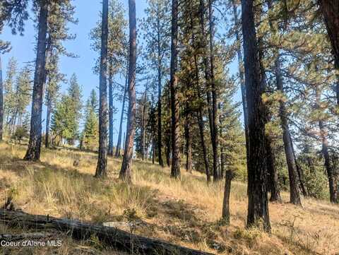 Nka Renfro Creek Rd, Santa, ID 83866