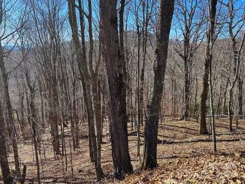 692 Oak Ridge Lane unit: 61-Lot-A, Mars Hill, NC 28754