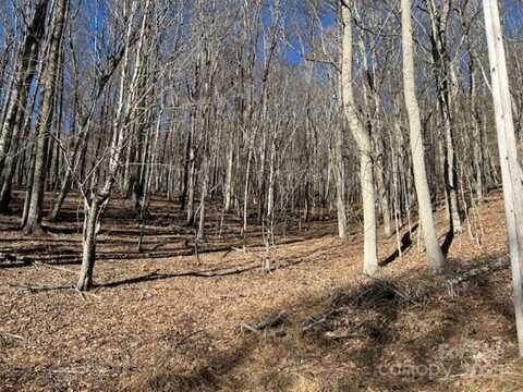 326 Hamlin Lane unit: 57, Mars Hill, NC 28754