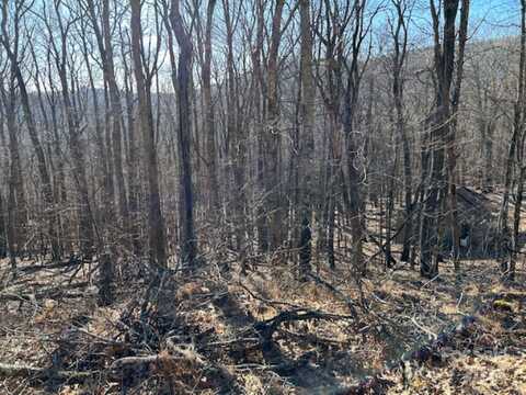 337 Hamlin Lane unit: 96, Mars Hill, NC 28754