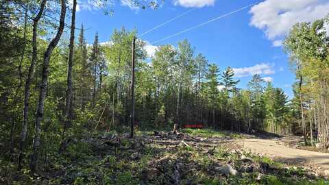 XX13.7 Crane Lake Rd, Crane Lake, MN 55725