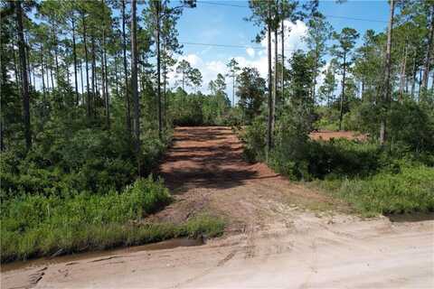 B084 010 Albert Gibson Road, Hortense, GA 31543