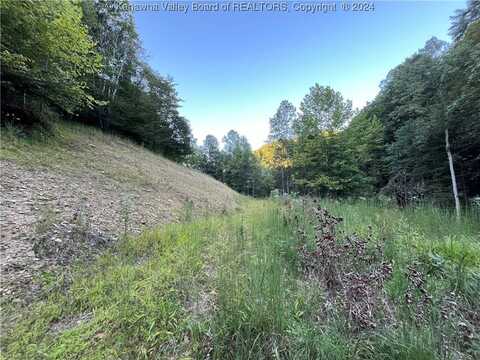 Tbd Arden Lane, Danville, WV 25053