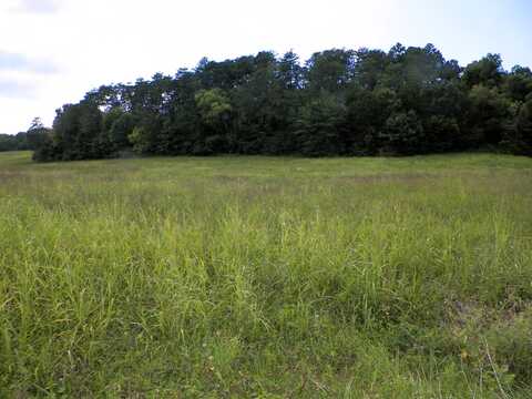 Tbd Newport Hwy, Sevierville, TN 37876