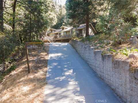 21530 Devils Canyon Road, Cedarpines Park, CA 92322