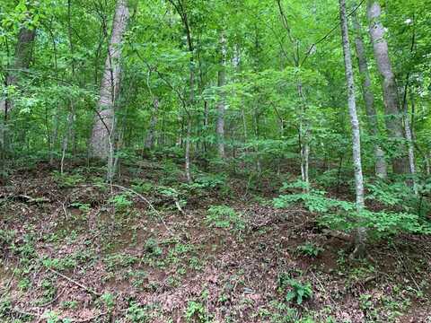 Lot 43 White Oak, Hiawassee, GA 30546