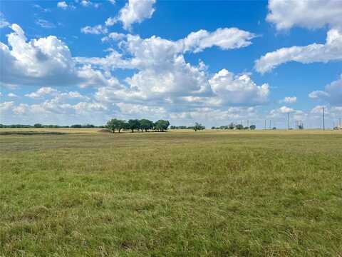 Tbd 15 Acres FM 1446, Waxahachie, TX 75167