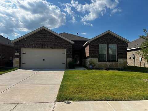 2000 Stinnet Street, Anna, TX 75409