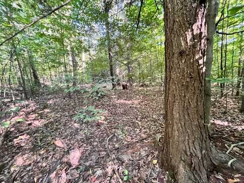 Lot 3 Lockwood Run Road, Baldwin, NY 14859