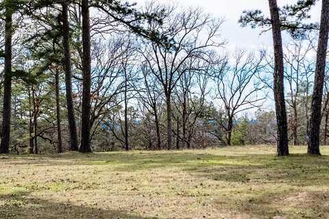 4235 An County Road 404, PALESTINE, TX 75803