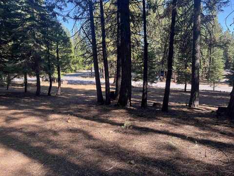 935 Long Iron Drive, Wiest, CA 96020