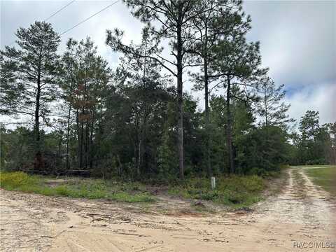 6610 W Mable Lane, Dunnellon, FL 34433