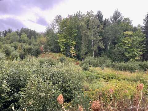 tbd goldmine lake, Ishpeming, MI 49829