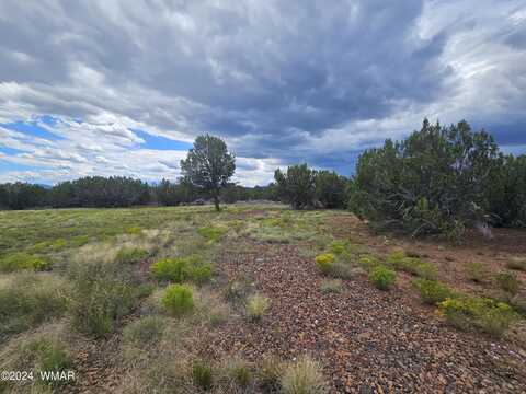 20 CR 3193, Vernon, AZ 85940