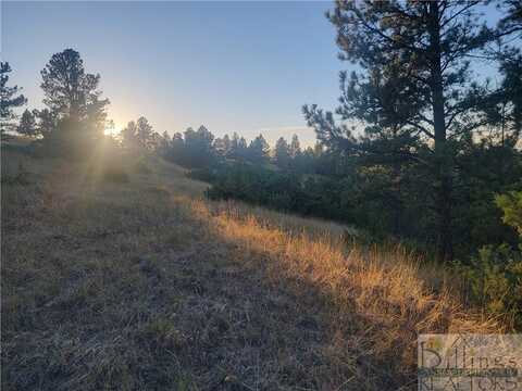 Lot 49 Buckskin Trail, Reed Point, MT 59069