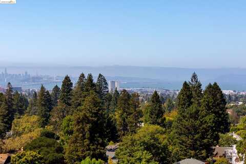 48 Oak Ridge Rd, Berkeley, CA 94705