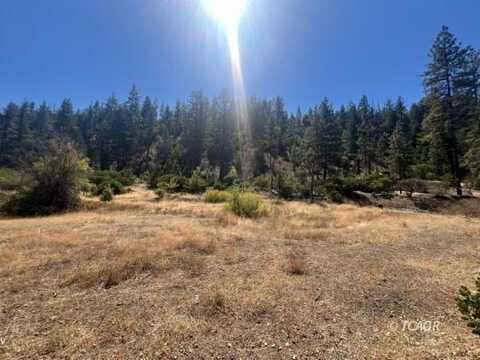 1271 Lake Rd, Junction City, CA 96048