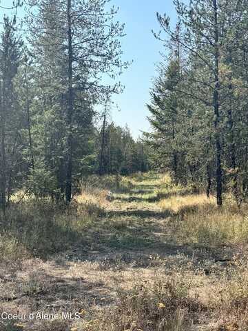 Nna 10acs Sky Meadow, Stone Pine Rd, Priest River, ID 83856