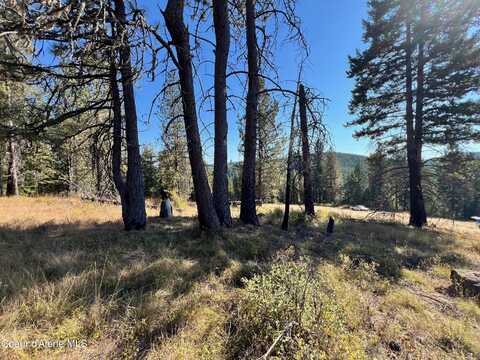 Nka Birch Dr, Saint Maries, ID 83861