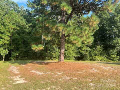 00 Legion Circle, Pageland, SC 29728