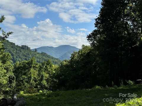 0 Scotts Trail, Spring Creek, NC 28743