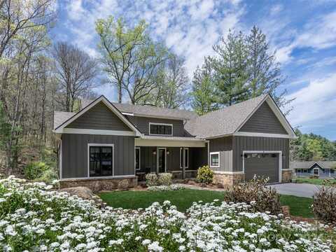 28 Woodland Aster Way, Asheville, NC 28804