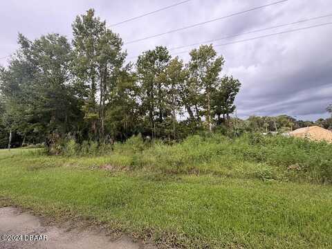 Lot 3 NE 307 CT, Salt Springs, FL 32134