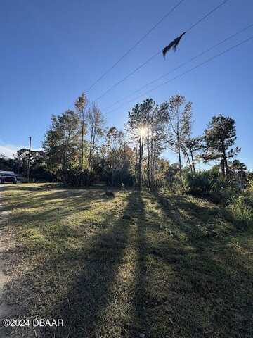 Lot 3 NE 307 CT, Salt Springs, FL 32134