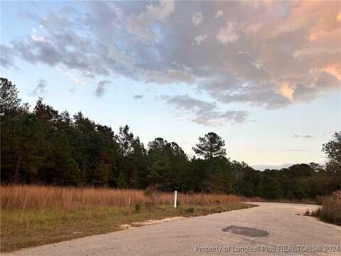 685(lot 11) Rehder Drive, Fayetteville, NC 28306