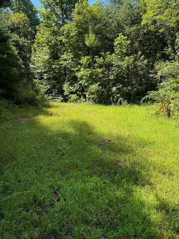 Green Burch Drive, Bryson City, NC 28713