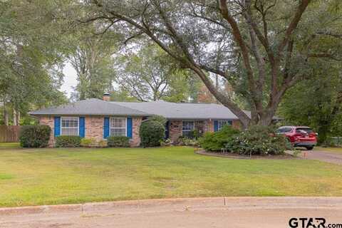 311 KENT DR, Pittsburg, TX 75686