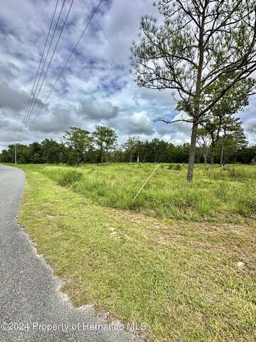 0 Marvelwood Road, Weeki Wachee, FL 34614