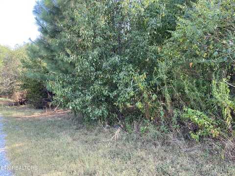 0 Tuckaleechee Pike, Maryville, TN 37804