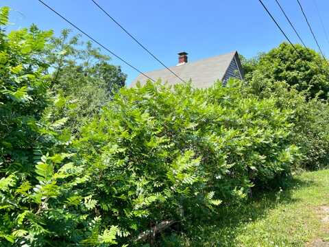 26 Winthrop Avenue, Oak Bluffs, MA 02557