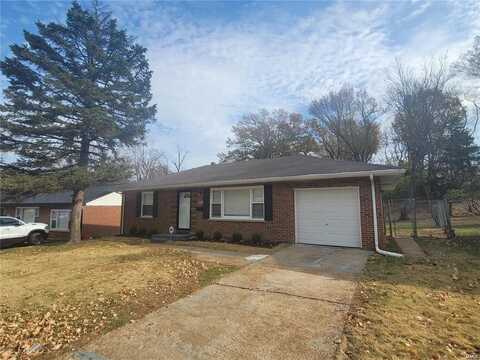 8430 Falmouth Drive, Saint Louis, MO 63121