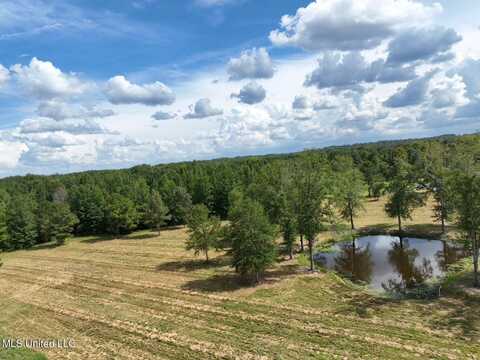 651 Petrified Forest Road, Flora, MS 39071