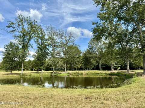 651 Petrified Forest Road, Flora, MS 39071