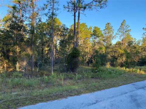 00 NW SUNSHINE RIDGE, DUNNELLON, FL 34431