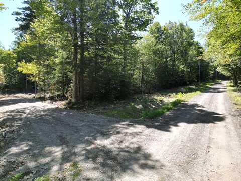 Tbd Bearce Road, Lakeville, ME 04487