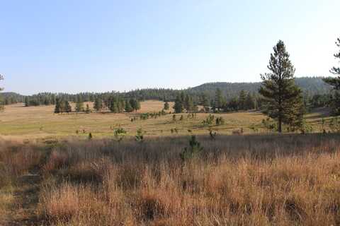 TBD Pleasant Valley Road, Custer, SD 57730