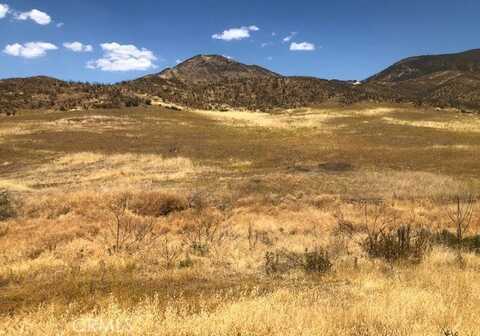 22522 Jerusalem Grade, Lower Lake, CA 95457