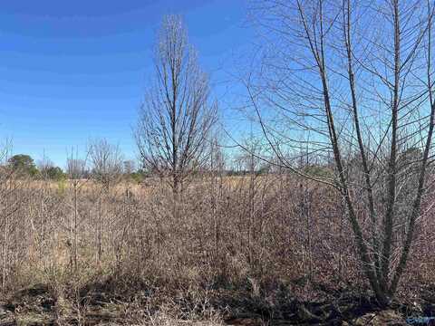 Lot 13 County Road 487, Moulton, AL 35650